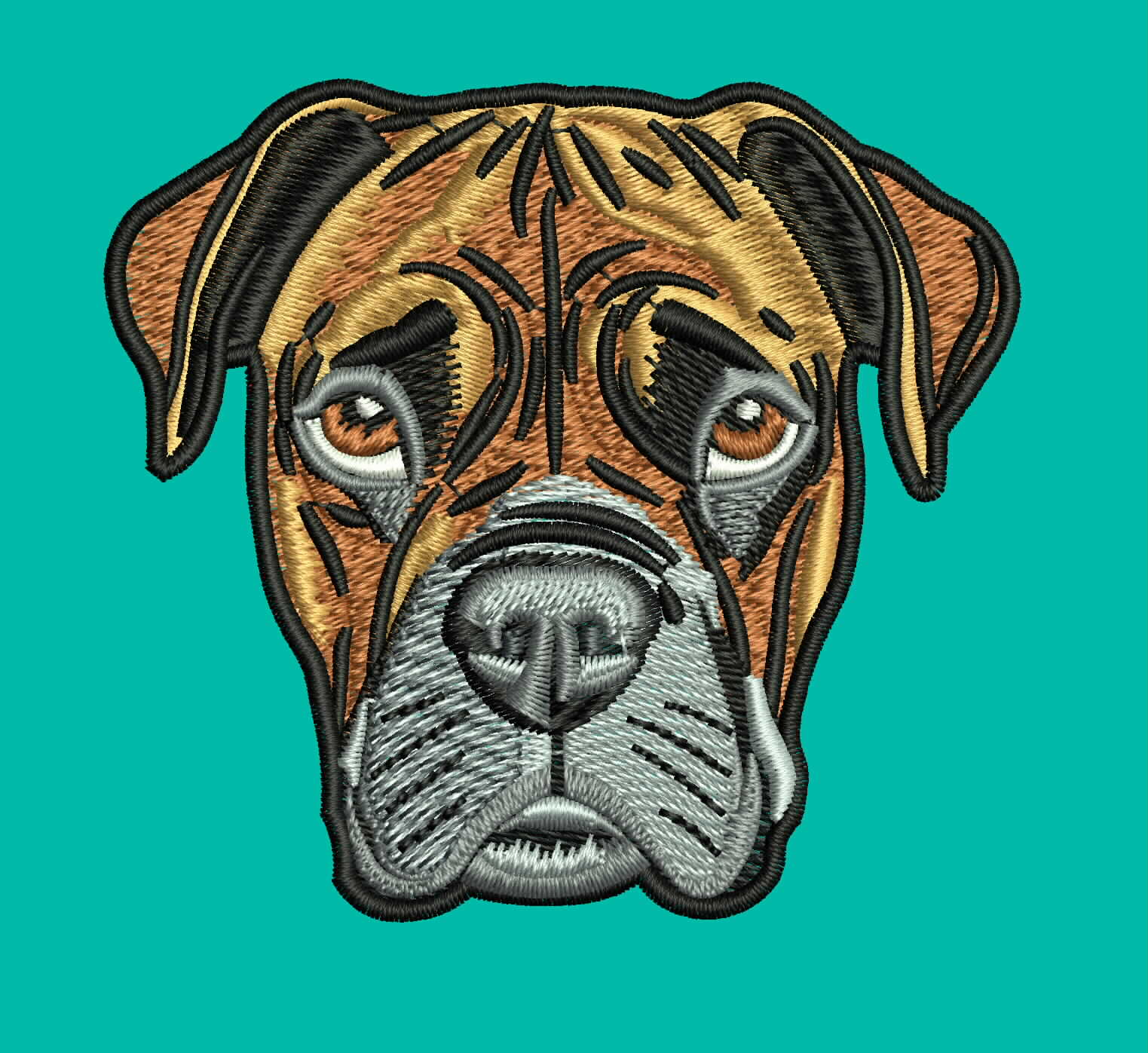 Dog 13