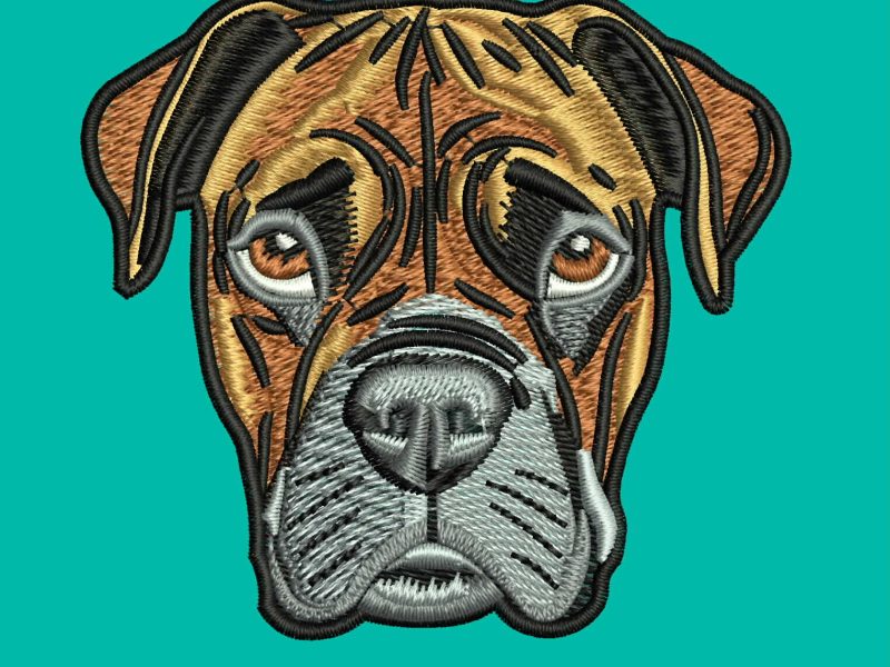 Dog 13