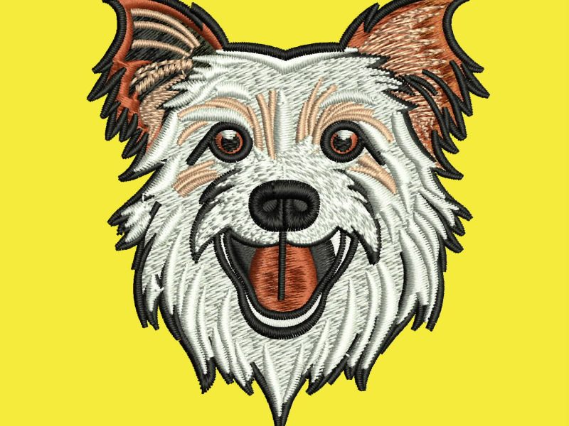 Dog 3